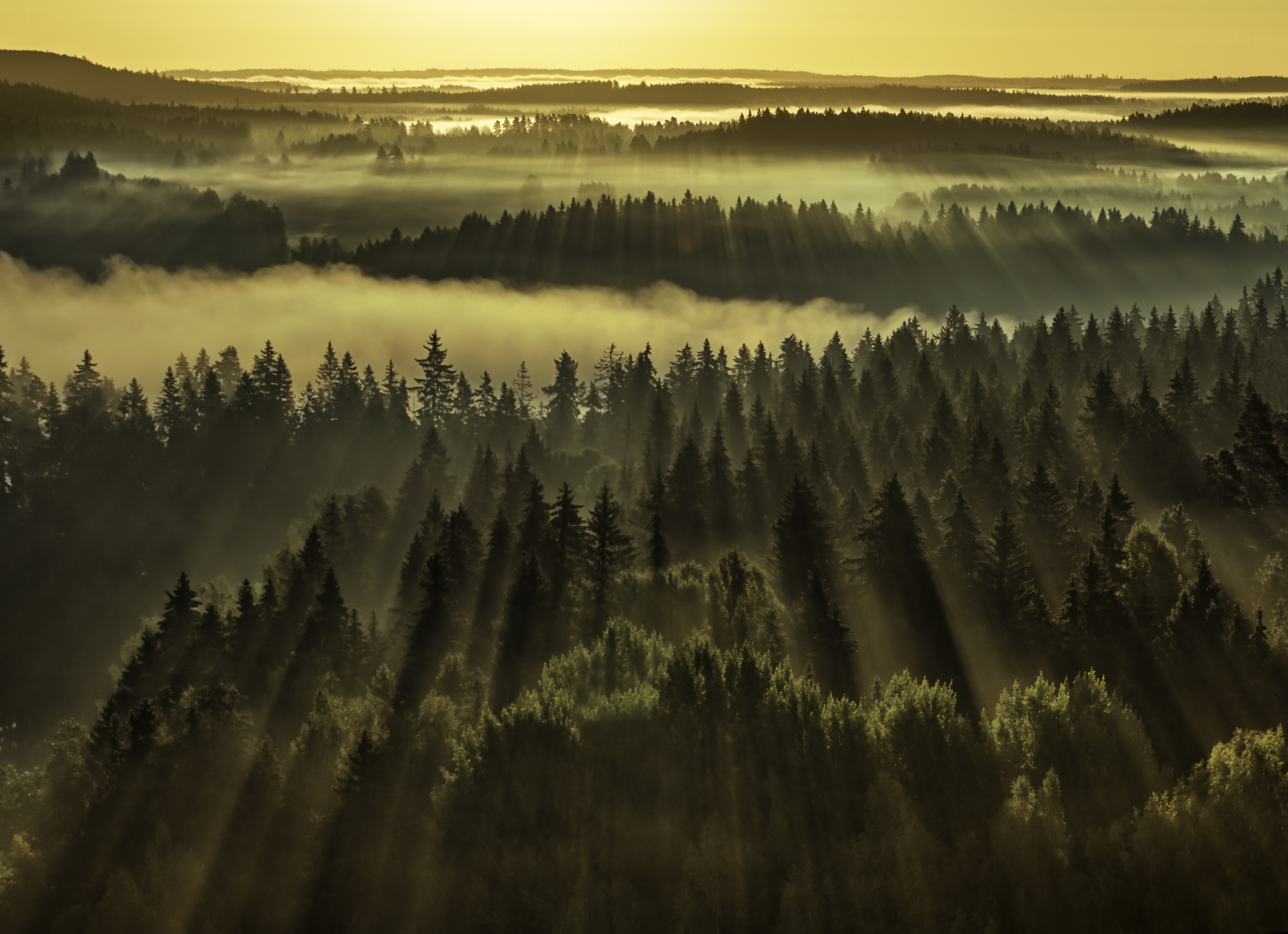Finland travel - Lonely Planet | Europe