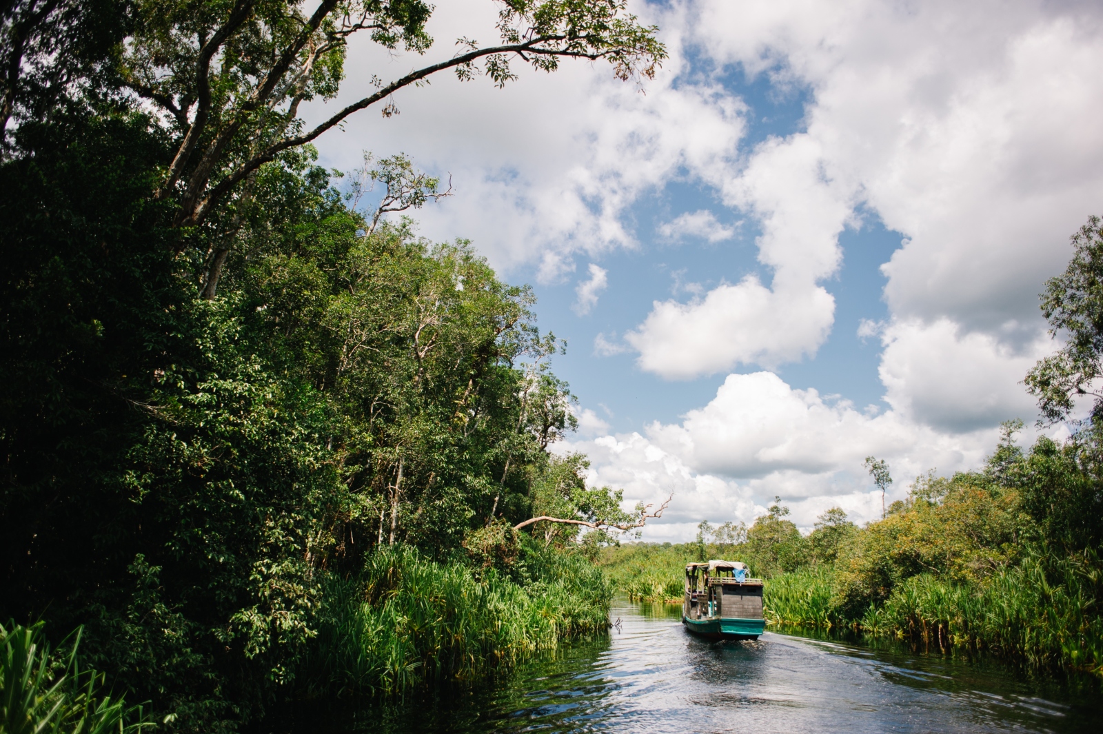 Tanjung Puting National Park travel Lonely Indonesia, Asia