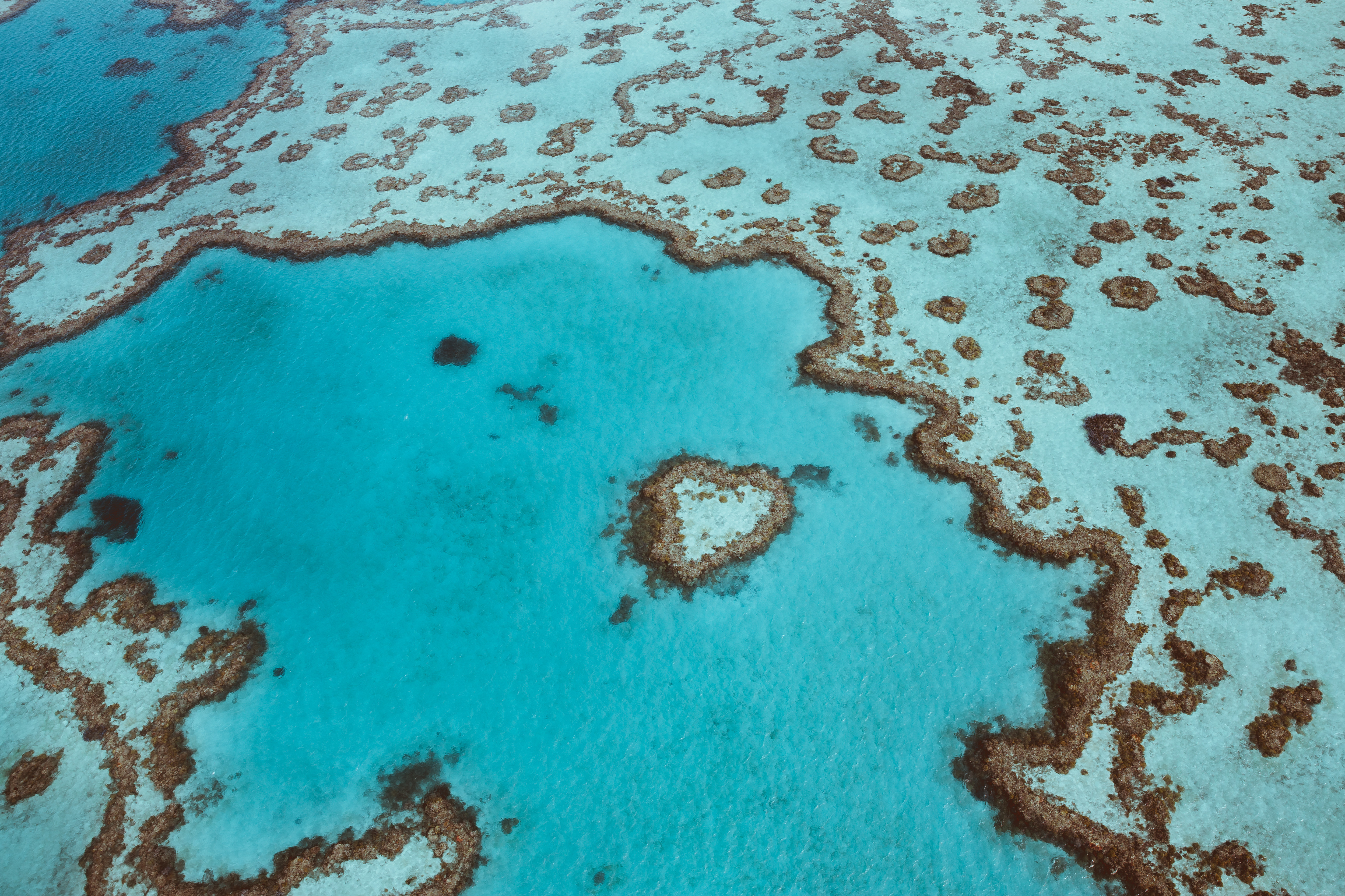 Travelers Can Now Swim Above This Heart Shaped Reef In Australia Lonely Planet