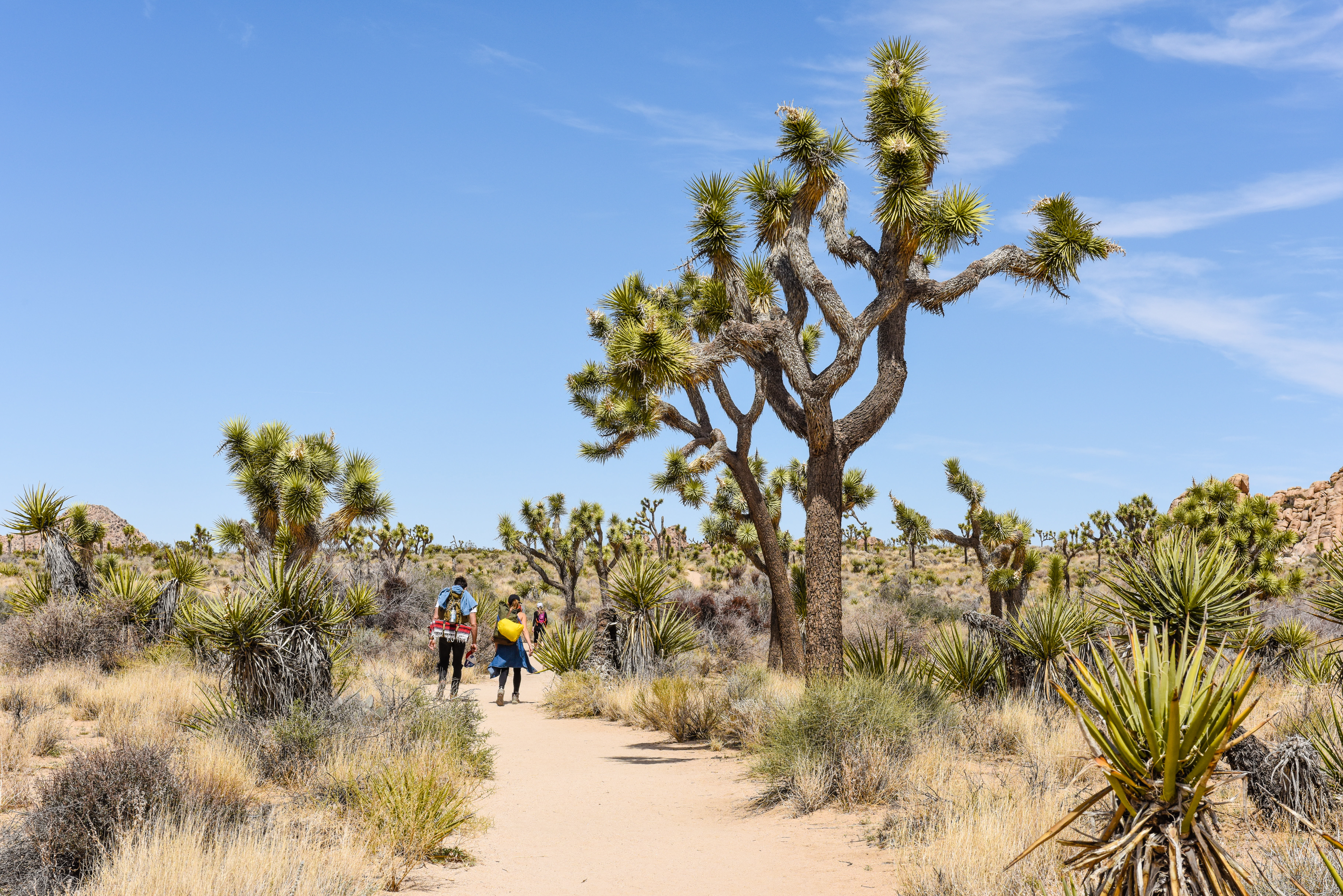 Southern California travel | California, USA, North America