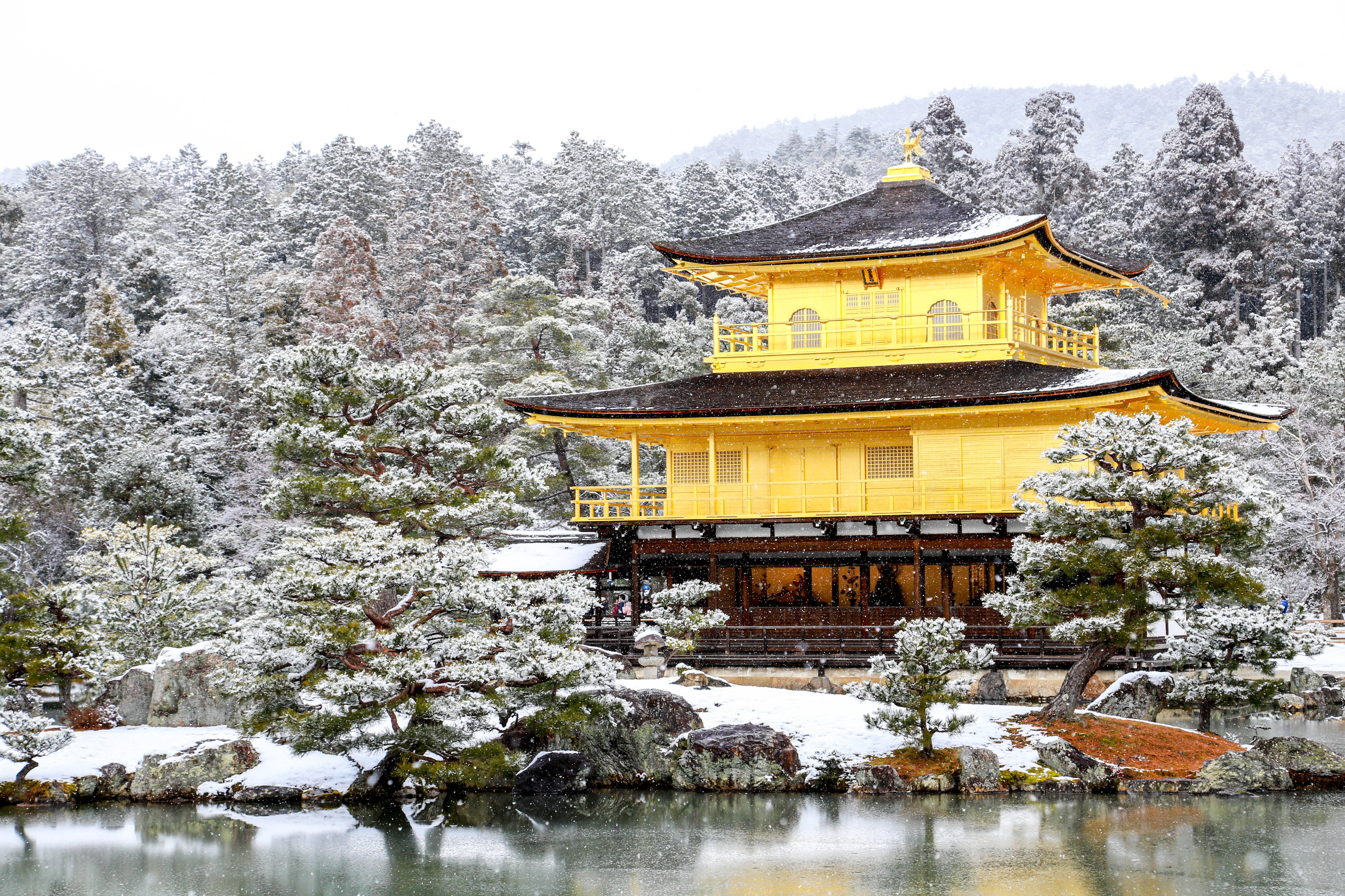 A snowy scene at The Golden Pavilion (Kinkakuji), Kyoto, Honshu, Japan The Golden Pavilion (Kinkakuji) surrounded by snow during winter