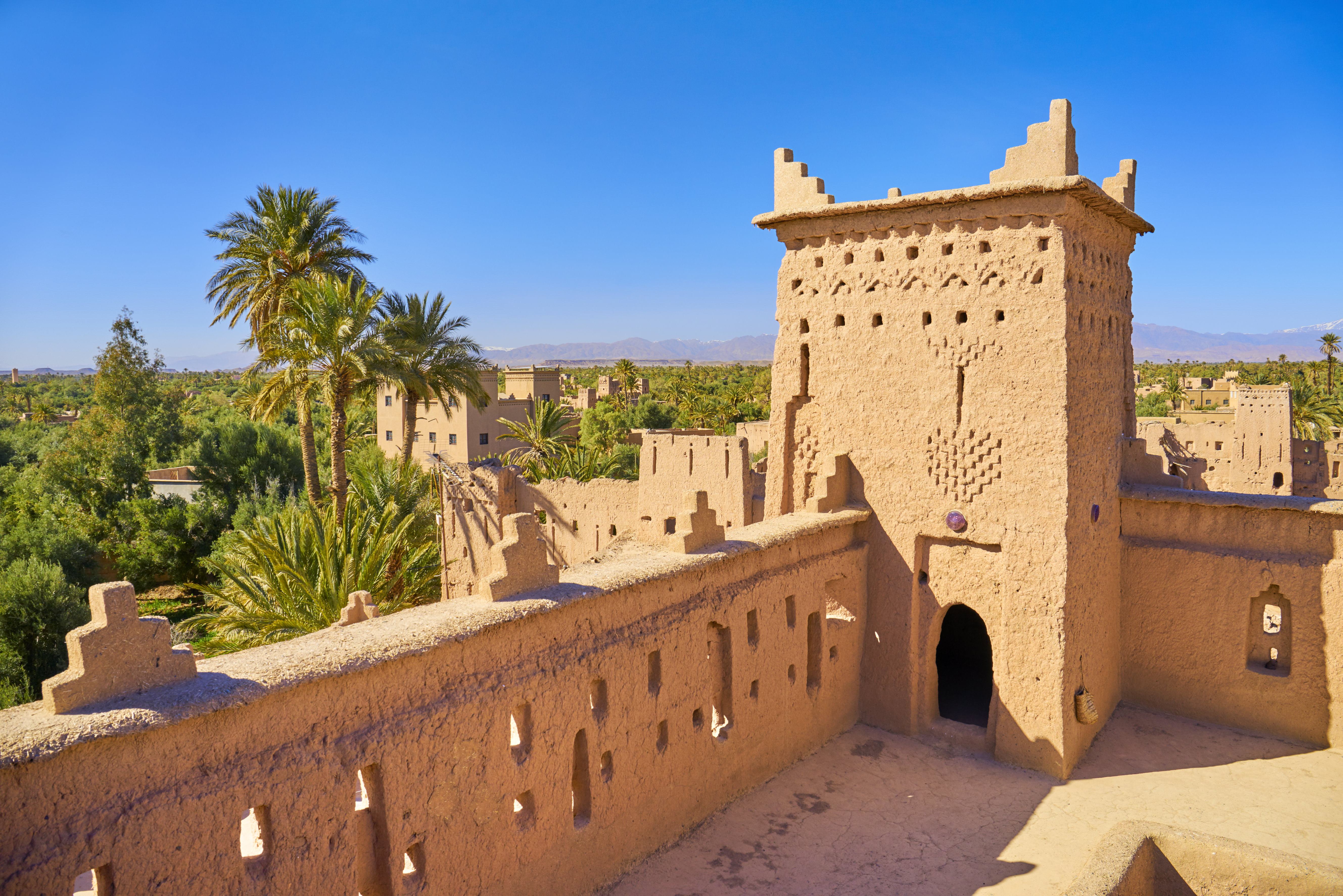 Palm trees surround a kasbah building in an oasis