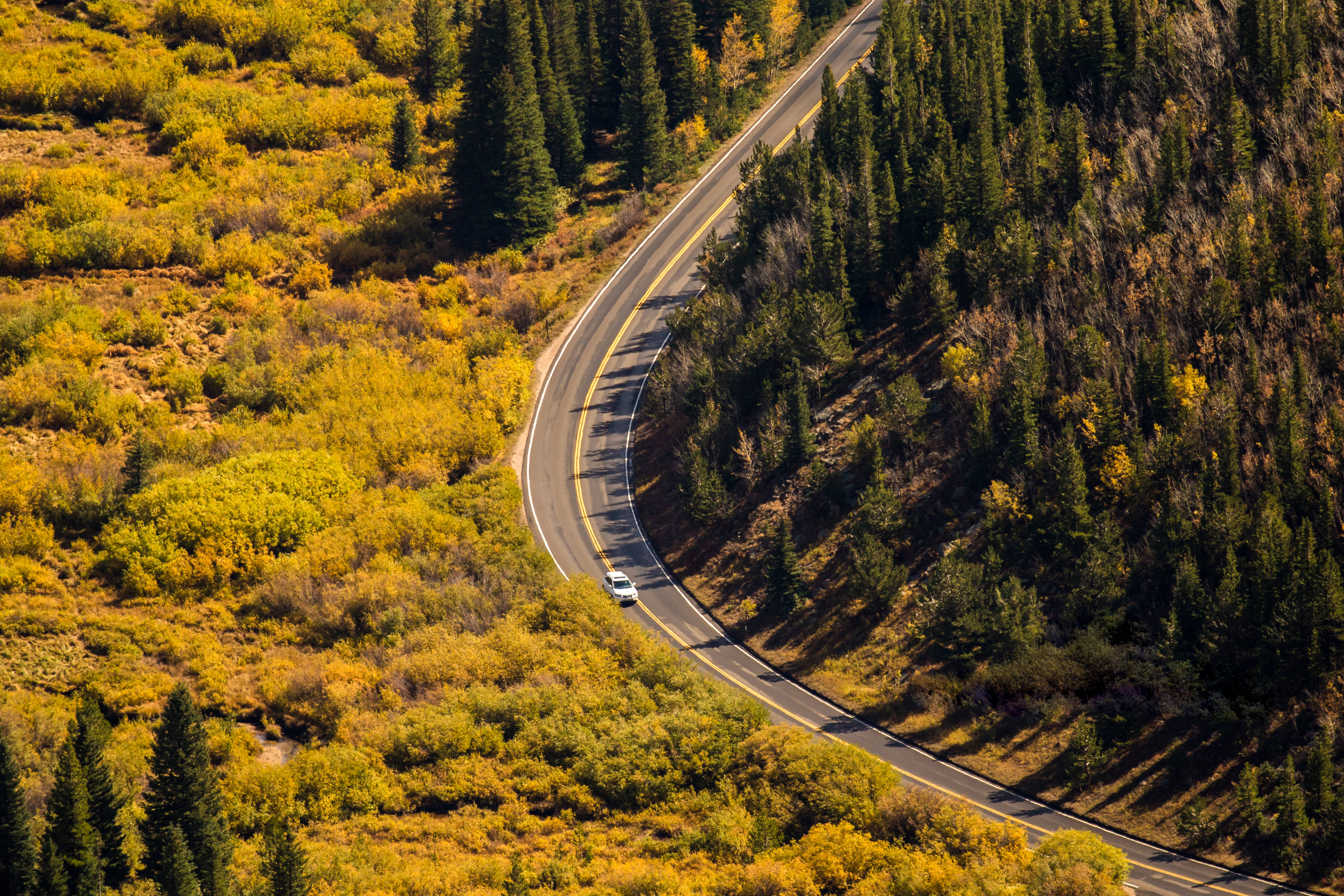 shutterstockRF_735026587.jpg
