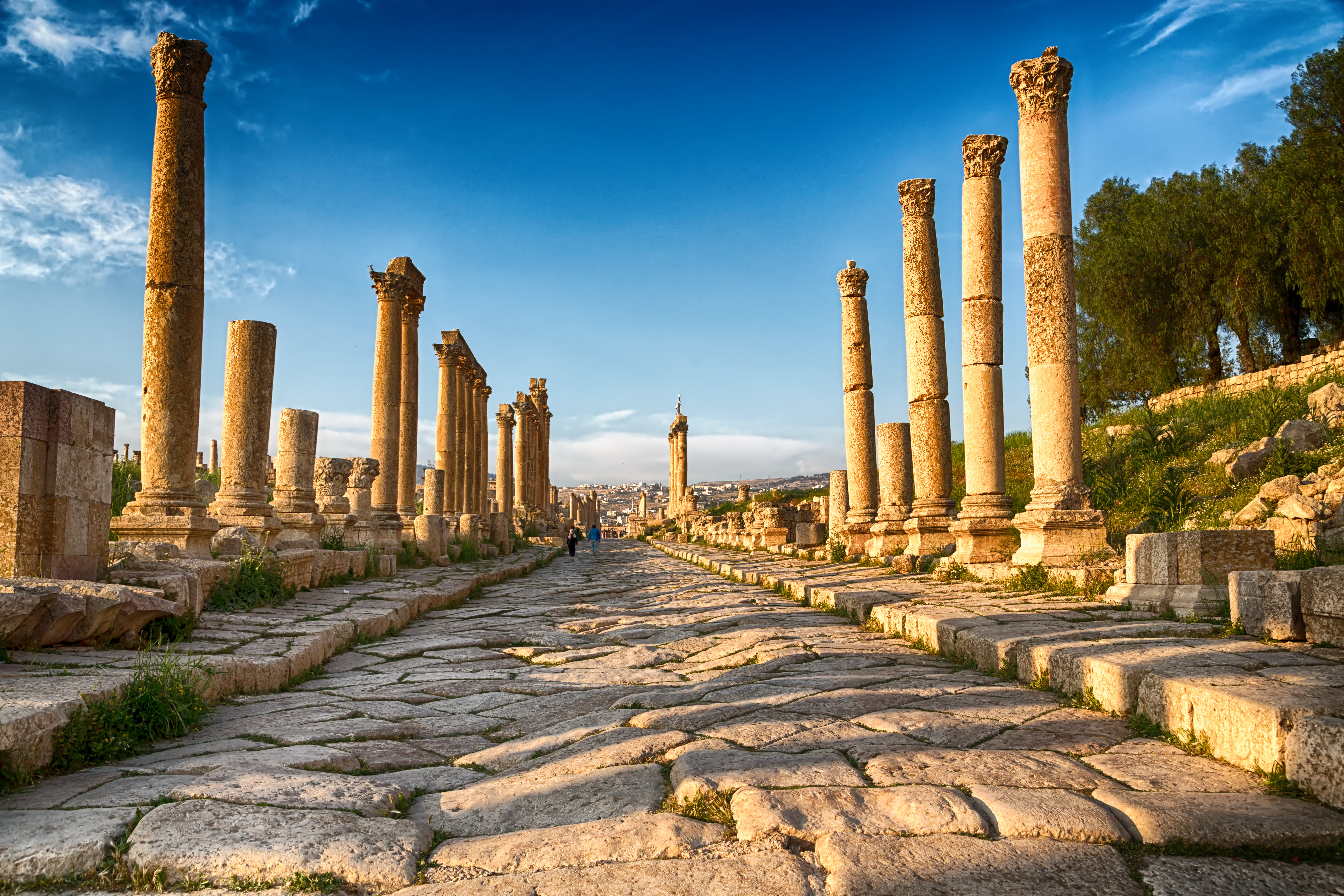 【希少】Lonely Planet Jordan & Syria 旅行ガイド Lonely Planet Syria (Lonely Planet Travel Guides): Andrew
