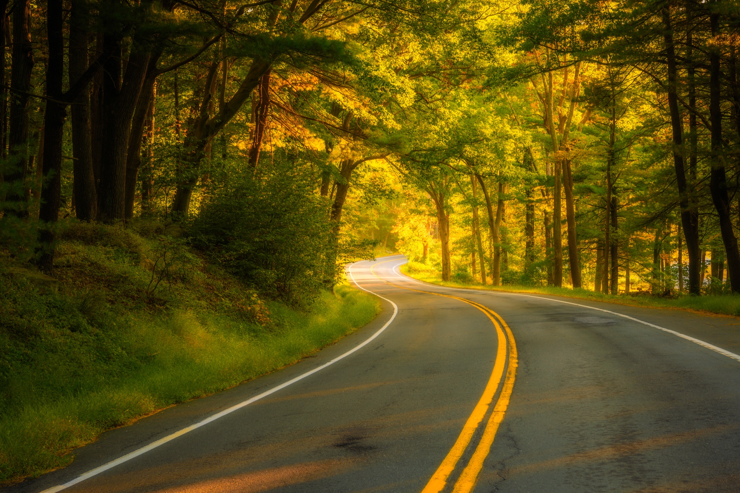 Sunlight peeks through trees flanking a two-lane Seven Lakes Drive in the Hudson Valley.