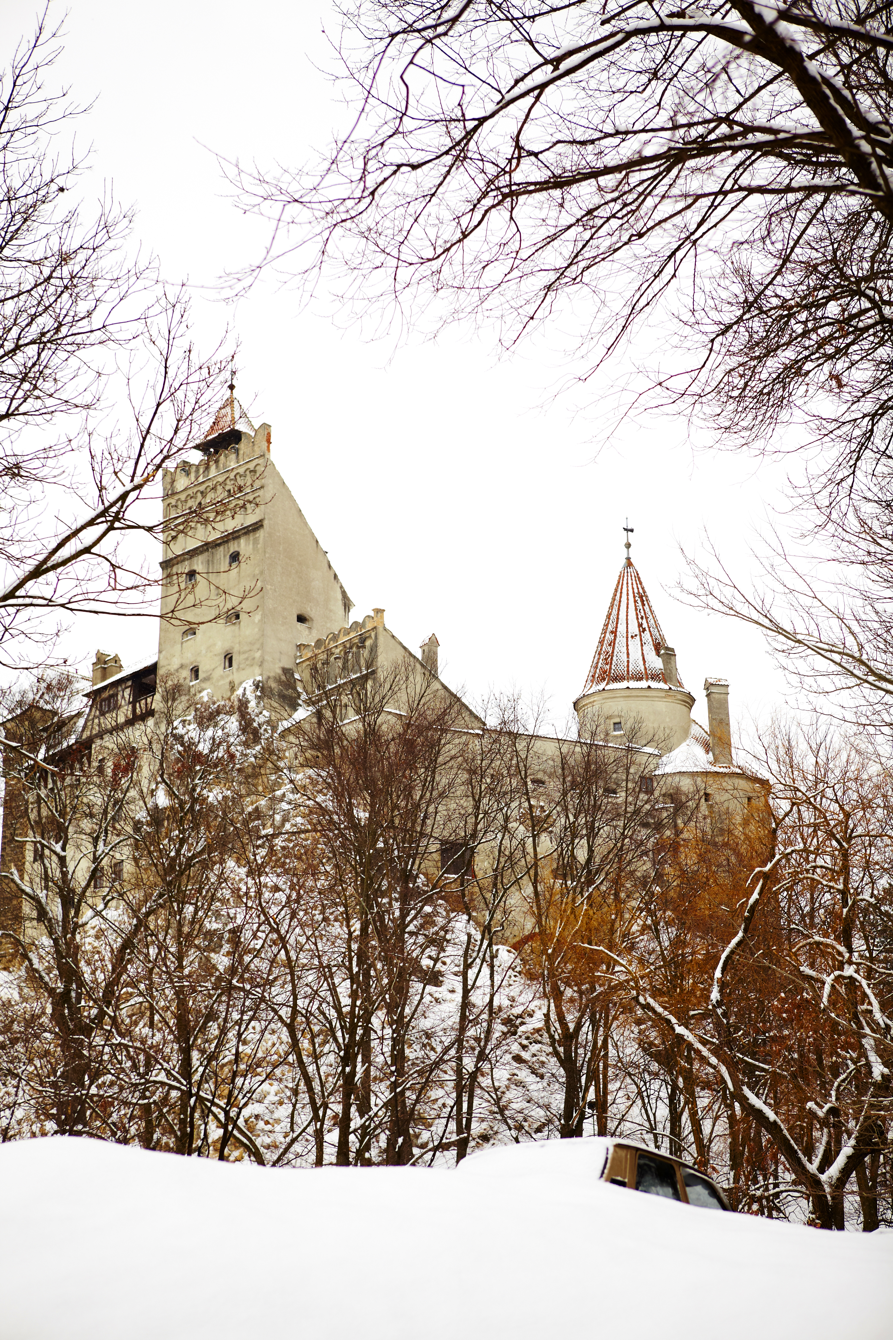 Bran Castle A moody castle sits atop a hill in winter with dead trees in front.