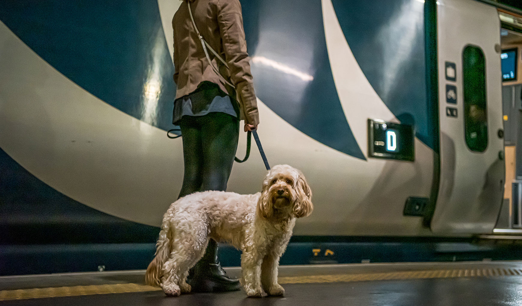A passenger with a dog boarding the Caledonian Sleeper overnight train A person holds a dog a leash on a train-station platform, both about to to board the Caledonian Sleeper overnight train between London and Scotland