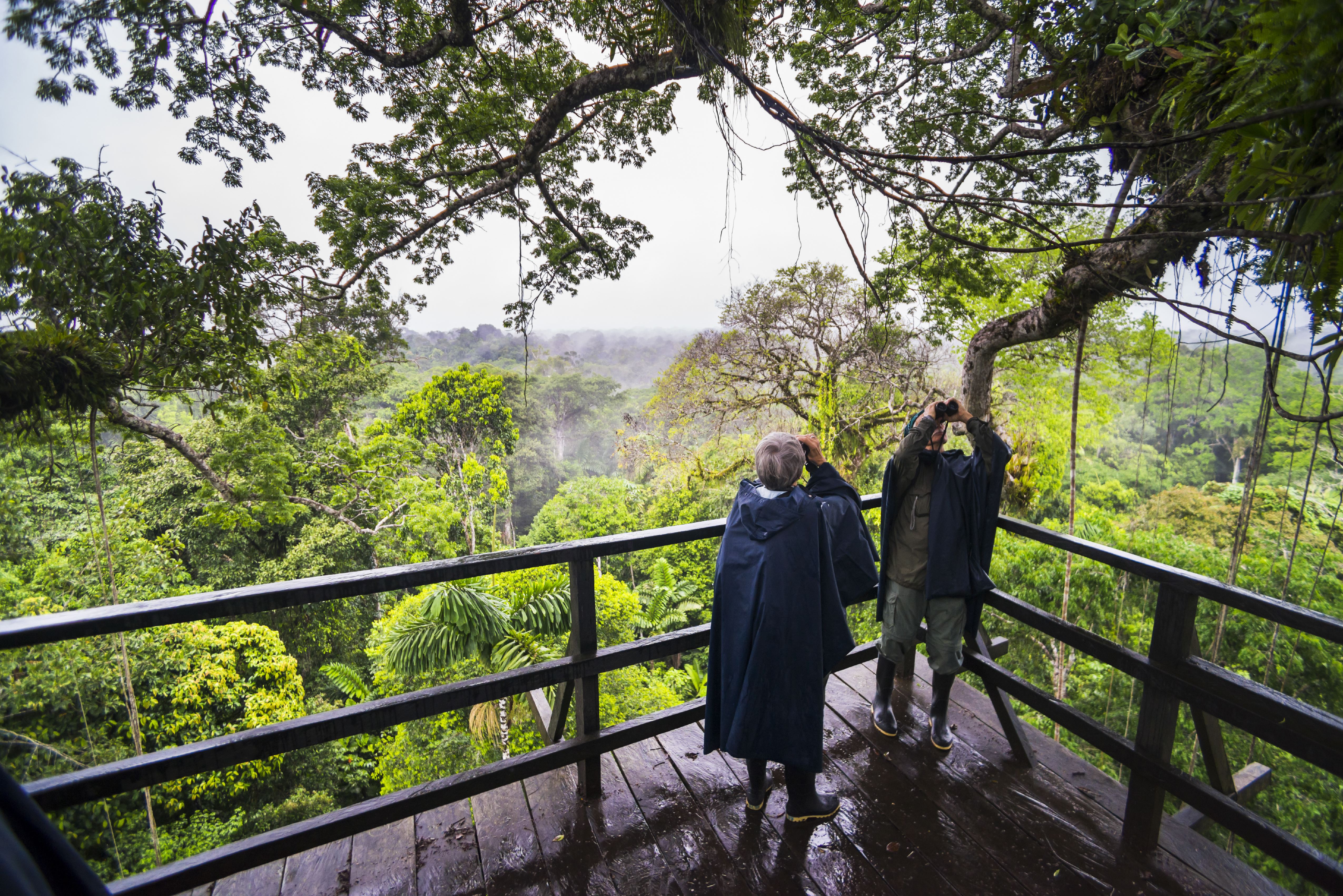 best ecuador amazon tours People birdwatch from a tower in the Amazon Rainforest.