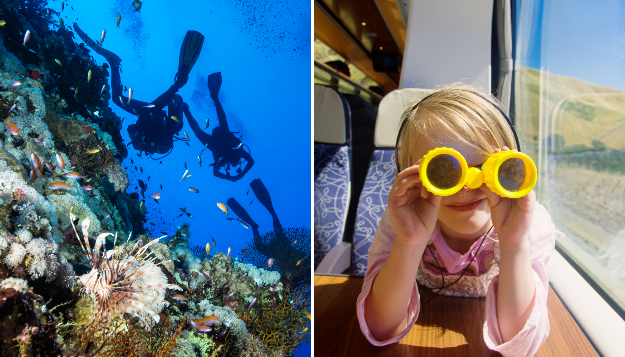 People dive in the Egyptian sea; a young girl on a train looks through yellow binoculars. 