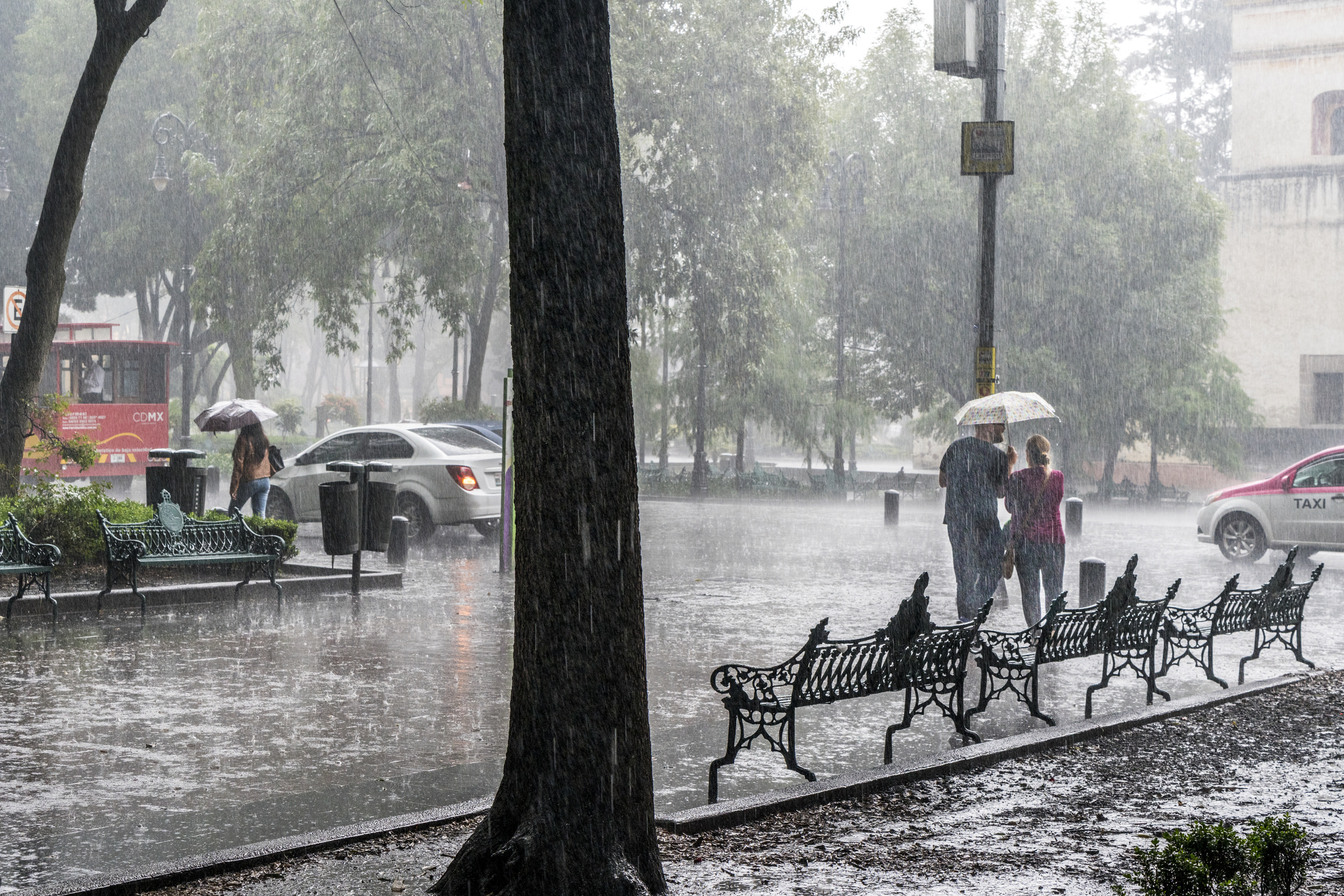 A young loving couple sharing an umbrella in heavy rain
