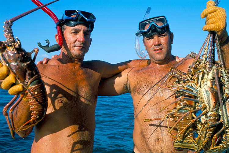 Lobster catch in Cayos, Cuba. Image by Bruno Barbier / Robert Harding World Imagery / Getty Images.