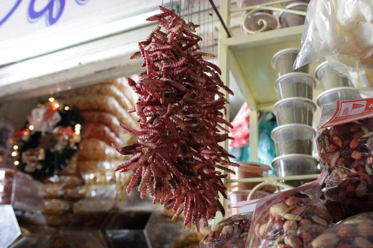 Tantalising or terrifying? A bouquet of gusanos in Mercado La Merced in Oaxaca.  Image by Krista / CC BY 2.0.